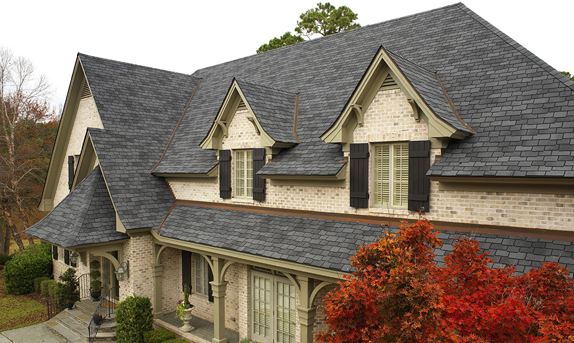 Roof of Large House